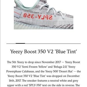 Yeezy Blue Tints size 10.